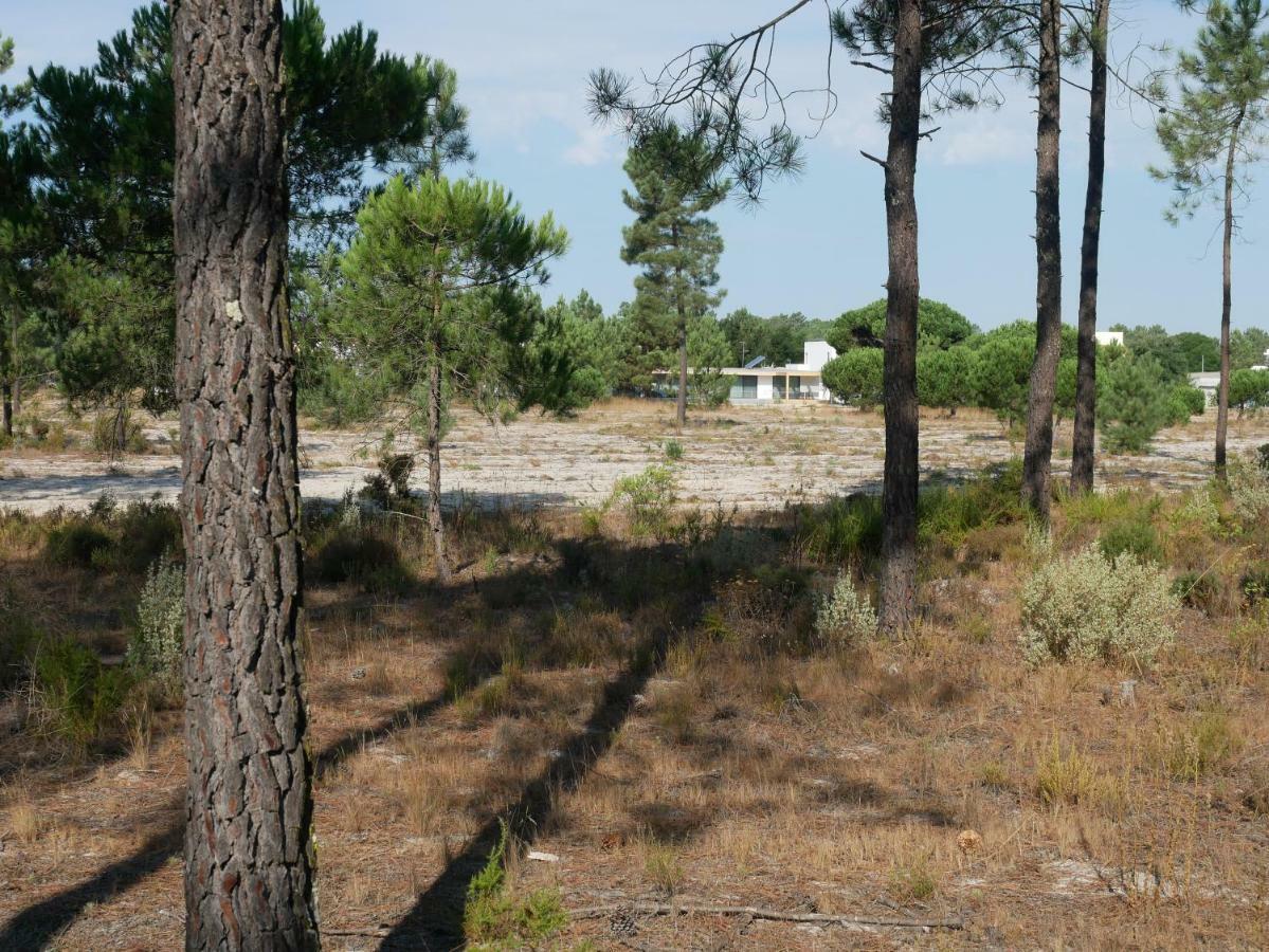קומפורטה Casa Das Pergolas מראה חיצוני תמונה